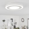Audrieu Ceiling Light LED white, 2-light sources