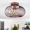 Oravi Ceiling Light copper, 1-light source