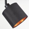 Alsen Ceiling Light Light wood, black, 2-light sources