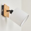 Alsen Wall Light Ecru, black, 1-light source