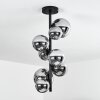 Chehalis Ceiling Light black, 8-light sources
