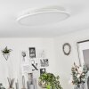 Sani Ceiling Light LED white, 1-light source, Remote control, Colour changer
