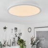 Sani Ceiling Light LED white, 1-light source, Remote control, Colour changer