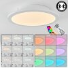 Sani Ceiling Light LED white, 1-light source, Remote control, Colour changer
