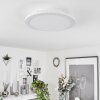 Sani Ceiling Light LED white, 1-light source, Remote control, Colour changer