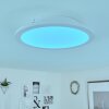 Sani Ceiling Light LED white, 1-light source, Remote control, Colour changer