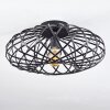 Oravi Ceiling Light black, 1-light source