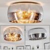 Belleguette Ceiling Light silver, 5-light sources