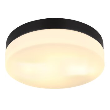 Globo VRANOS outdoor ceiling light black, 1-light source