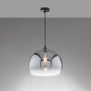 Fischer & Honsel Amos Pendant Light black, 1-light source