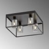 Fischer & Honsel Iska Ceiling Light black, 4-light sources