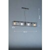 Fischer & Honsel Isko Pendant Light black, 7-light sources