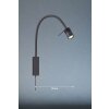Fischer & Honsel Seng Wall Light LED black, 1-light source