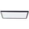 Brilliant Sorell Ceiling Light LED black, 1-light source, Remote control