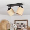 Chenevrey Ceiling Light black, 2-light sources
