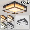 Nonza outdoor ceiling light LED anthracite, 1-light source