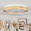 Menthonnex Ceiling Light LED white, 1-light source