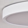 Pontchardon Ceiling Light LED white, 1-light source