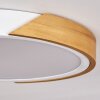 Pontchardon Ceiling Light LED white, 1-light source