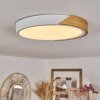 Pontchardon Ceiling Light LED white, 1-light source
