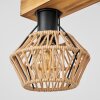Auboncourt Pendant Light Ecru, 4-light sources