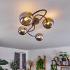 Chehalis Ceiling Light brass, black, 4-light sources