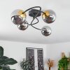 Chehalis Ceiling Light brass, black, 4-light sources