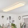 Remenoville Ceiling Light LED white, 1-light source