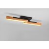 Trio Kerala Ceiling Light LED black, 2-light sources