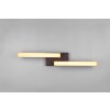 Trio Kerala Ceiling Light LED black, 2-light sources