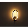 Globo NAGGY Outdoor Wall Light LED black, 1-light source