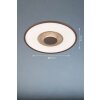 Fischer & Honsel Veit Ceiling Light LED gold, rust-coloured, 1-light source, Remote control