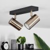 Javel Ceiling Light black, 2-light sources