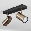 Javel Ceiling Light black, 2-light sources