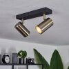 Javel Ceiling Light black, 2-light sources
