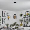 Arieux Pendant Light black, 1-light source