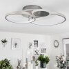 Tagsdorff Ceiling Light LED chrome, matt nickel, 1-light source