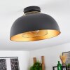 Wambez Ceiling Light black, 1-light source