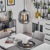 Augicourt Pendant Light black, 1-light source