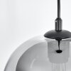 Augicourt Pendant Light black, 1-light source