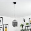 Augicourt Pendant Light black, 1-light source