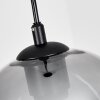Augicourt Pendant Light black, 1-light source