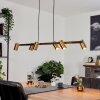 Zuoz Pendant Light antique brass, 6-light sources