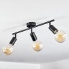 Maidford Ceiling Light black, 3-light sources
