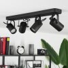 Kergus Ceiling Light black, 4-light sources