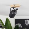 Vergoignan Ceiling Light Ecru, black, 1-light source