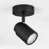 Douarnenez Ceiling Light black, 1-light source