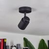 Douarnenez Ceiling Light black, 1-light source