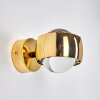 Sapri Wall Light gold, 1-light source