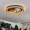 Xamontarupt Ceiling Light LED brown, Wood like finish, black, 1-light source, Remote control